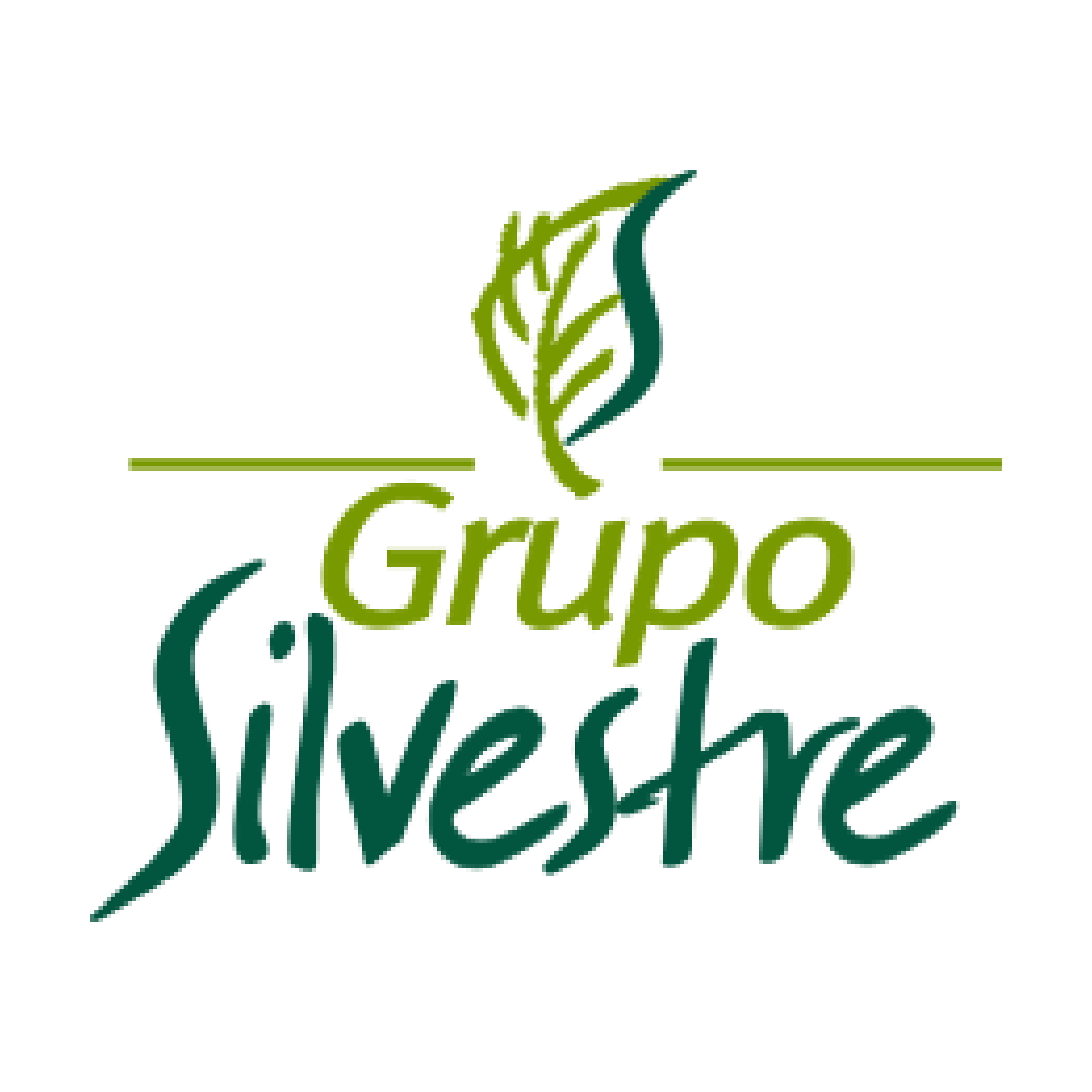 GRUPO SILVESTRE