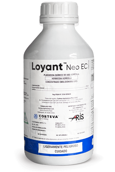 LOYANT NEO  x 1LT