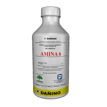AMINA 6  x 1LT