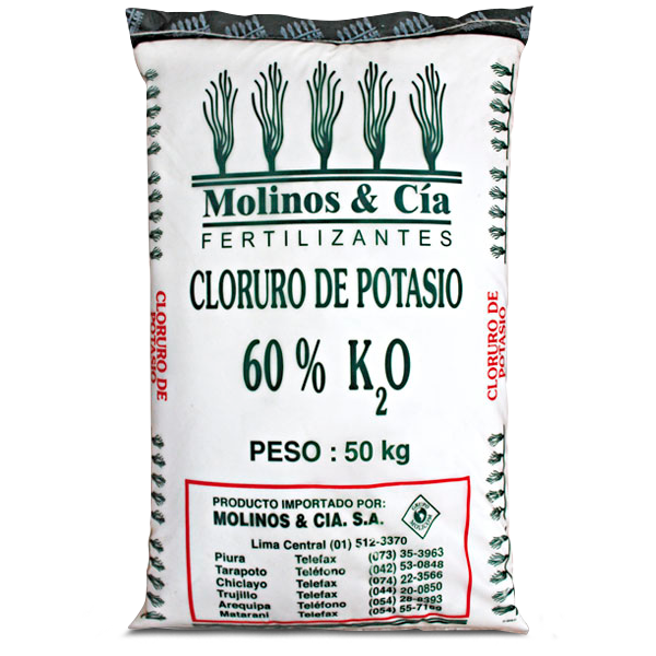 CLORURO DE POTASIO POLVO