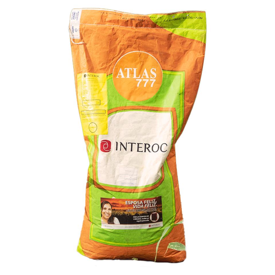Atlas 777 SEMILLAS DE MAIZ HIBRIDO - 25KG