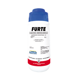 [03.02.19.06.08] FURTE x 1LT