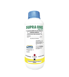 [03.02.19.06.18] SUPRA ONE x 1LT