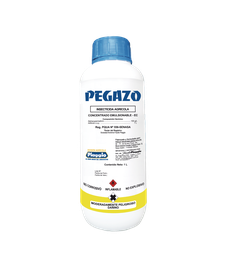 [03.02.19.06.09] PEGAZO x 1LT