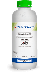[03.02.19.03.02] PANTERA  x 1LT