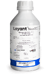 [03.02.19.01.03] LOYANT NEO  x 1LT