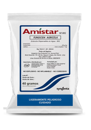 [03.02.14.01.01] AMISTAR 50 WG X 40 GR