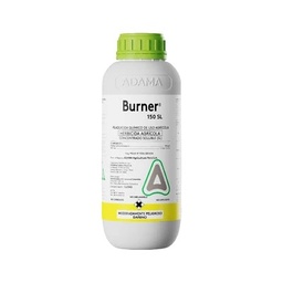 [03.01.10.01.01] BURNER 150 SL X LT