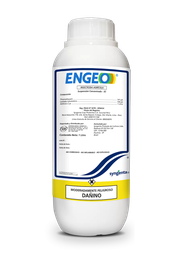 [03.02.05.01.01] ENGEO X LT