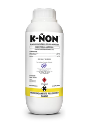 [03.02.07.01.01] K-ÑON x LT