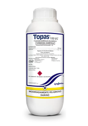 [03.02.17.01.01] TOPAS X LT